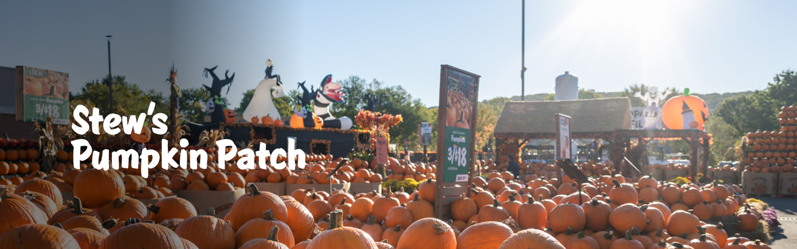 Hero_Banner_Pumpkin_Patch_1600x500