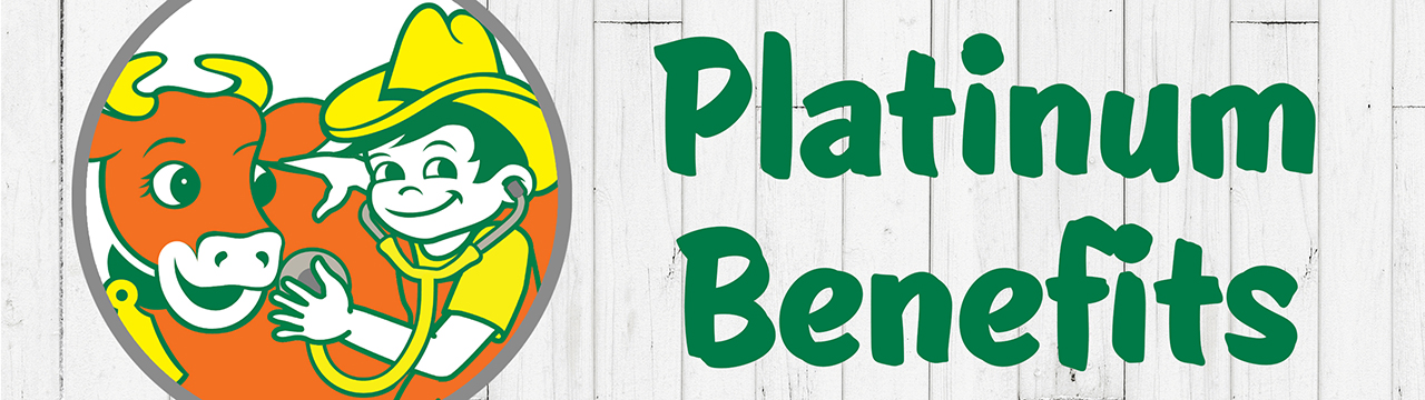 Plat_Bene_1280x360