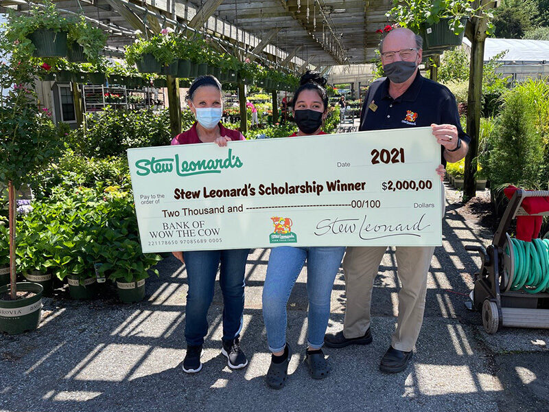 Scholarship_800x600