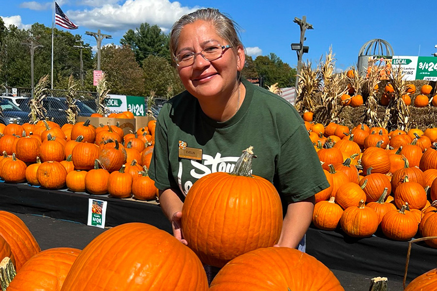Pumpkins-13_900x600
