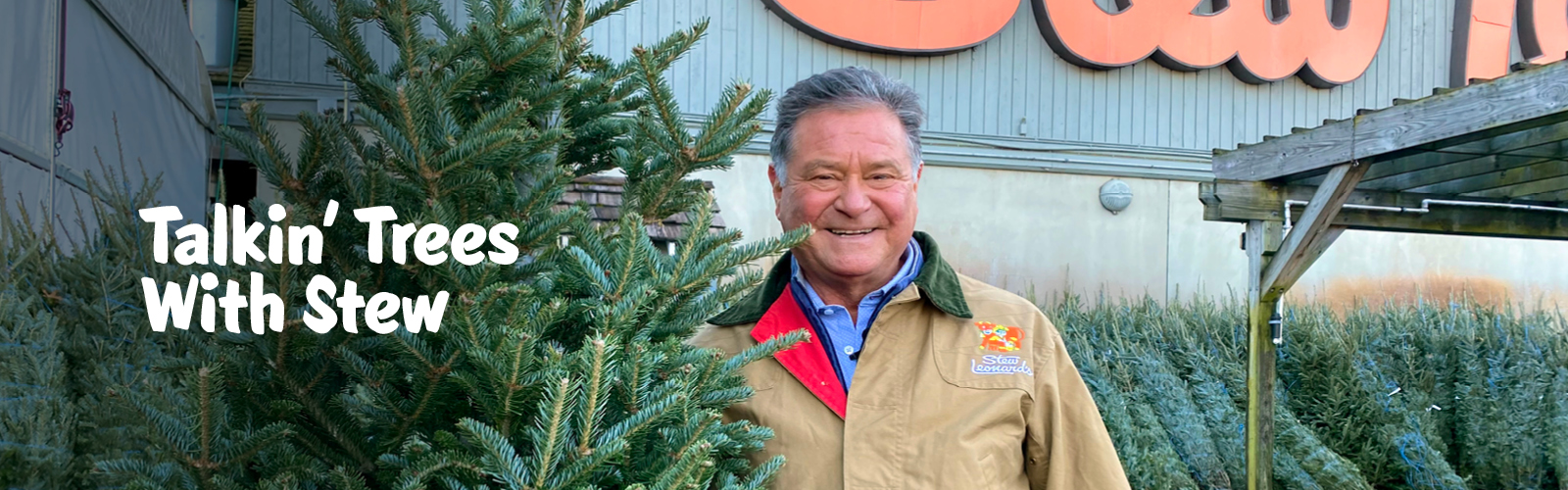 Trees_Banner_1600x500 Talkin' Trees With Stew - Stew with a Christmas Tree in front of our store