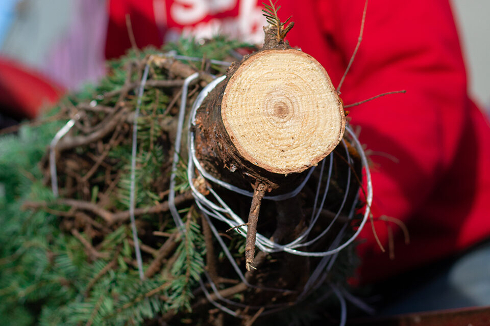 Tree_shop_2
