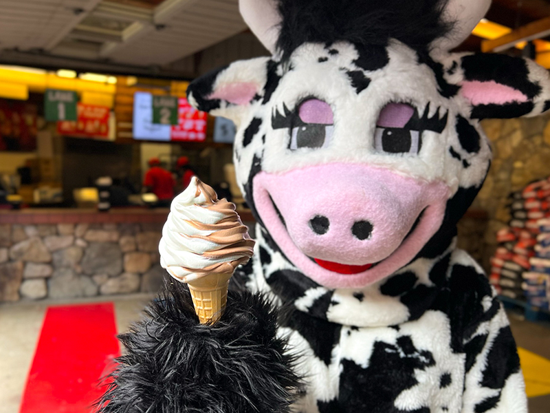 clover_ice_cream