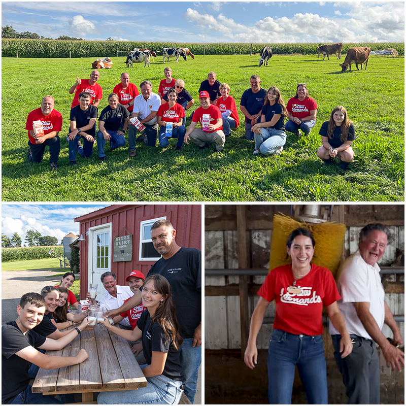 dairyfarmcollage