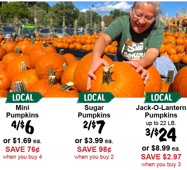 pumpkins