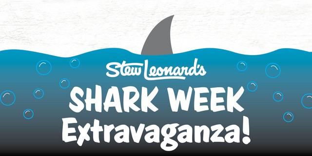 Shark Week Extravaganza for Kids