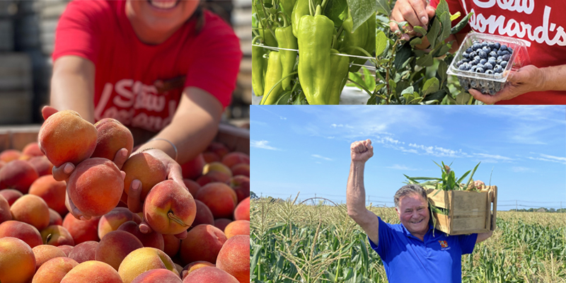 produce_collage