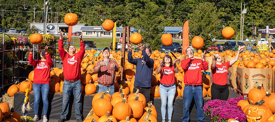 pumpkins_in_dnabury