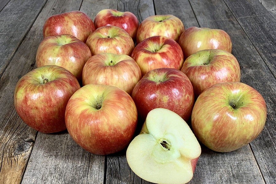 HoneyCrisp_900x600